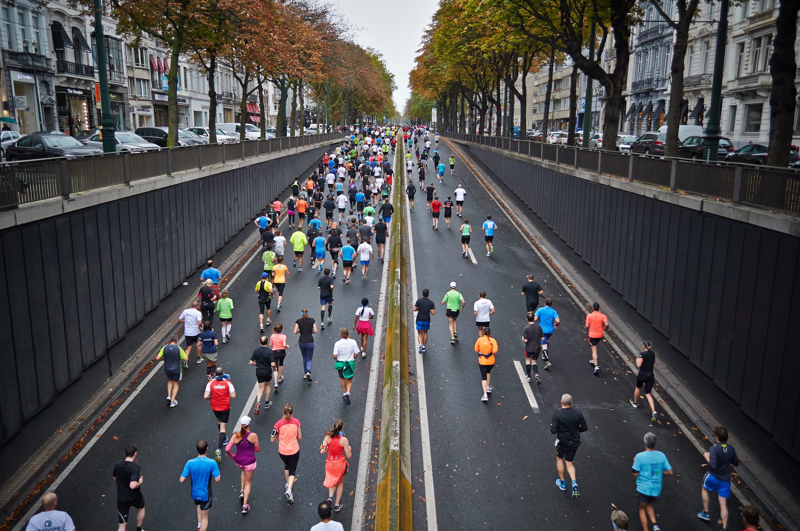 5 Steps to Race Training (Part 1)